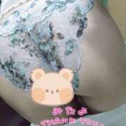 ヒメ日記 2025/09/23 16:53 投稿 こはく 新横浜ちゃんこ