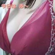 ヒメ日記 2025/09/24 17:33 投稿 こはく 新横浜ちゃんこ