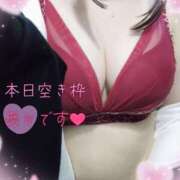 ヒメ日記 2025/09/24 20:53 投稿 こはく 新横浜ちゃんこ