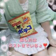 ヒメ日記 2025/10/01 15:33 投稿 こはく 新横浜ちゃんこ
