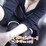 ヒメ日記 2025/10/07 09:43 投稿 こはく 新横浜ちゃんこ