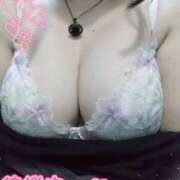 ヒメ日記 2025/10/07 18:53 投稿 こはく 新横浜ちゃんこ