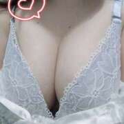 ヒメ日記 2025/10/10 16:04 投稿 こはく 新横浜ちゃんこ