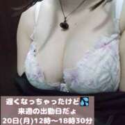 ヒメ日記 2025/10/18 16:33 投稿 こはく 新横浜ちゃんこ