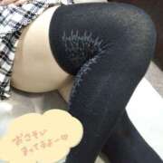 こはく [お題]from:ラッキーさん 新横浜ちゃんこ