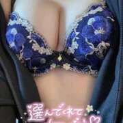 ヒメ日記 2025/11/11 03:01 投稿 めいさ【FG系列】 フィーリングin横浜