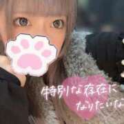 ヒメ日記 2025/11/17 04:04 投稿 めいさ【FG系列】 フィーリングin横浜