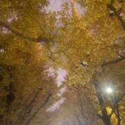 ヒメ日記 2024/12/29 17:42 投稿 まな Charme（シャルム）