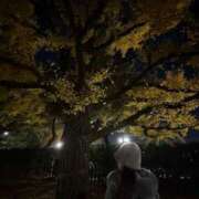 ヒメ日記 2025/01/13 19:22 投稿 まな Charme（シャルム）