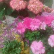 ヒメ日記 2025/04/24 20:52 投稿 まな Charme（シャルム）