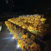 ヒメ日記 2025/08/13 13:22 投稿 まな Charme（シャルム）