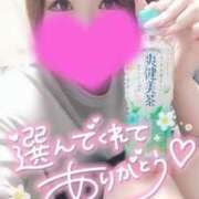 ヒメ日記 2025/04/20 15:20 投稿 ゆゆか 奥様特急新潟店