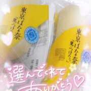 ヒメ日記 2025/06/10 02:20 投稿 ゆゆか 奥様特急新潟店