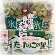 ヒメ日記 2025/10/18 02:40 投稿 ゆゆか 奥様特急新潟店