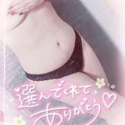 ヒメ日記 2026/02/15 01:40 投稿 ゆゆか 奥様特急新潟店