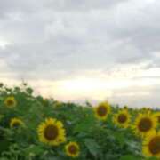 ヒメ日記 2025/08/30 20:15 投稿 Saku(さく） AMATERAS(アマテラス)(福山)