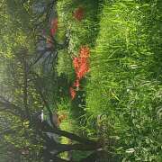 ヒメ日記 2025/10/03 08:18 投稿 Saku(さく） AMATERAS(アマテラス)(福山)