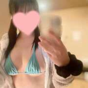 ヒメ日記 2025/08/13 08:11 投稿 ひまり プールサイド