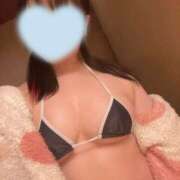 ヒメ日記 2026/03/22 08:15 投稿 ひまり プールサイド