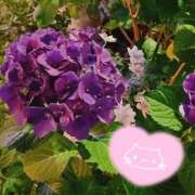 ヒメ日記 2025/06/06 23:34 投稿 優美 PLUS難波店