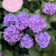 ヒメ日記 2025/06/30 23:34 投稿 優美 PLUS難波店