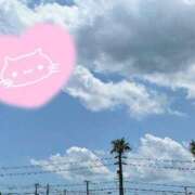 ヒメ日記 2025/07/31 23:26 投稿 優美 PLUS難波店