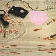 ヒメ日記 2025/08/31 23:34 投稿 優美 PLUS難波店