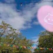 ヒメ日記 2025/10/31 23:34 投稿 優美 PLUS難波店