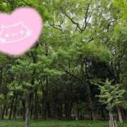 ヒメ日記 2026/04/30 23:34 投稿 優美 PLUS難波店