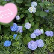 ヒメ日記 2026/05/31 23:34 投稿 優美 PLUS難波店