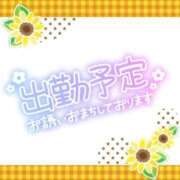 ヒメ日記 2024/03/26 16:39 投稿 のあ 多治見・土岐・春日井ちゃんこ