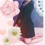 ヒメ日記 2024/12/20 12:19 投稿 倉沢 ローズマリー大塚