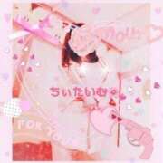 ヒメ日記 2024/12/21 01:50 投稿 倉沢 ローズマリー大塚