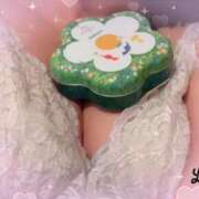 ヒメ日記 2025/01/17 01:59 投稿 倉沢 ローズマリー大塚