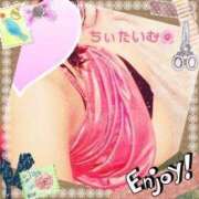 ヒメ日記 2025/05/28 01:54 投稿 倉沢 ローズマリー大塚