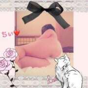 ヒメ日記 2025/06/19 01:54 投稿 倉沢 ローズマリー大塚