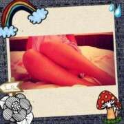 ヒメ日記 2025/06/29 07:24 投稿 倉沢 ローズマリー大塚