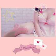 ヒメ日記 2025/07/08 07:24 投稿 倉沢 ローズマリー大塚