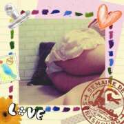 ヒメ日記 2025/07/18 01:44 投稿 倉沢 ローズマリー大塚