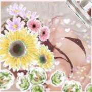 ヒメ日記 2025/07/29 01:44 投稿 倉沢 ローズマリー大塚