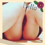 ヒメ日記 2025/08/05 07:24 投稿 倉沢 ローズマリー大塚