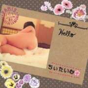 ヒメ日記 2025/08/07 01:54 投稿 倉沢 ローズマリー大塚