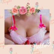 ヒメ日記 2025/08/08 07:24 投稿 倉沢 ローズマリー大塚