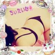 ヒメ日記 2025/08/11 01:54 投稿 倉沢 ローズマリー大塚