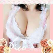 ヒメ日記 2025/08/18 01:54 投稿 倉沢 ローズマリー大塚