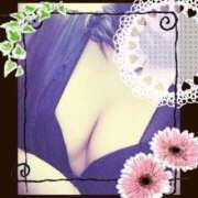 ヒメ日記 2025/08/29 21:54 投稿 倉沢 ローズマリー大塚