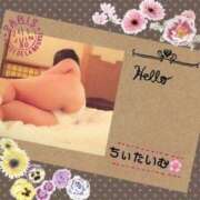 ヒメ日記 2025/09/10 01:54 投稿 倉沢 ローズマリー大塚