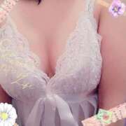 ヒメ日記 2025/10/28 01:54 投稿 倉沢 ローズマリー大塚