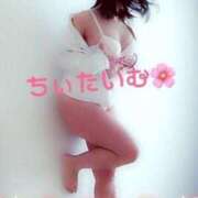 ヒメ日記 2025/11/07 01:44 投稿 倉沢 ローズマリー大塚