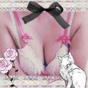 ヒメ日記 2025/11/08 12:14 投稿 倉沢 ローズマリー大塚